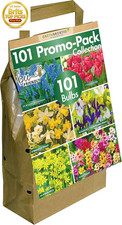 101 spring flower bulb pack - 101,