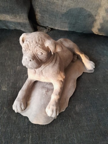 Chocolate brown concrete boxer - chocolate,