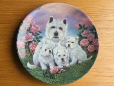 Royal Worcester - Westie Decorative Plate, "Puppies Playtime" Used