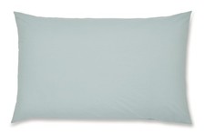 Duck egg blue standard - duck,