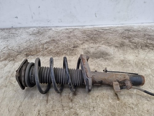 Ford focus strut shock - focus,