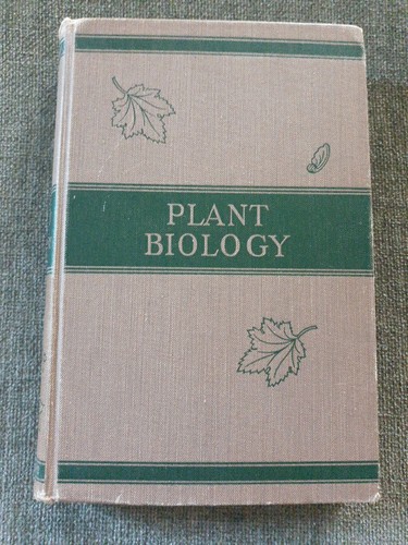 Paul weatherwax plant - paul,