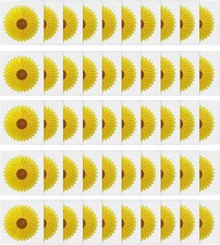 Fly catcher window flower - catcher,
