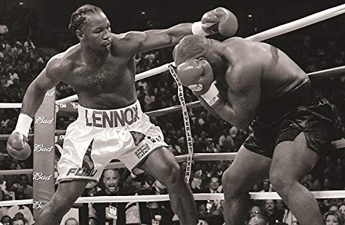 The boxing register - boxing,