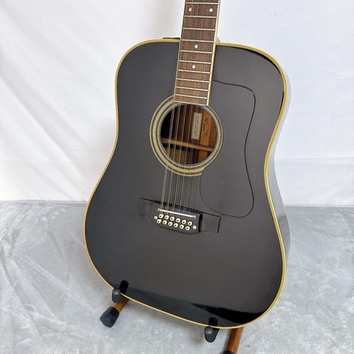 D01 takamine acoustic - takamine, electric