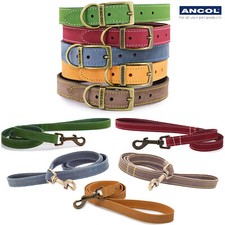 Dog Collar or Lead Leather