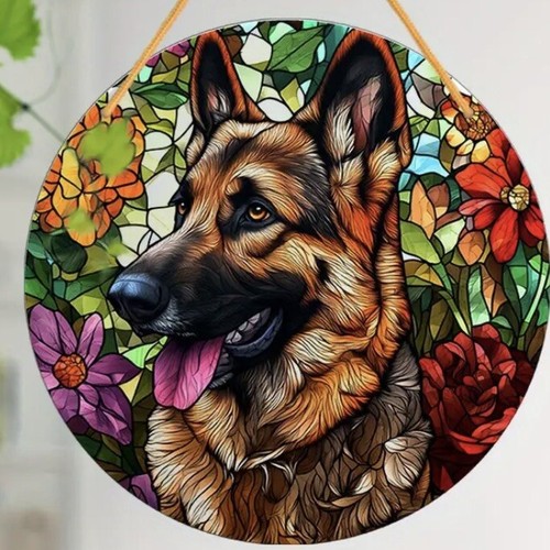 Alsatian large german shepherd - large,