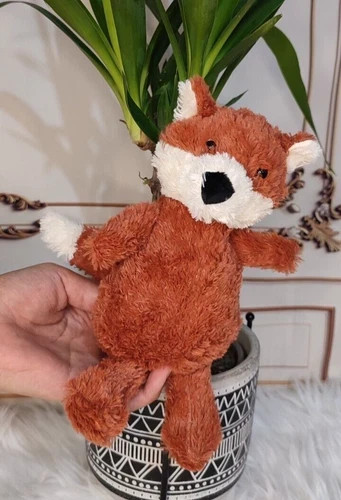 Bashful fox cub small - fox,