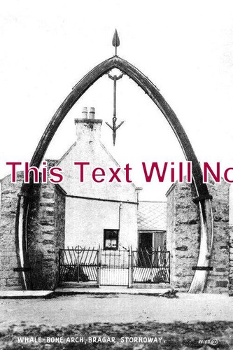 392 whale bone arch - -,