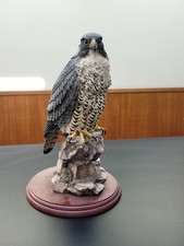 Border Fine Arts Peregrine