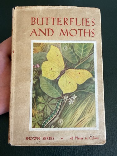 Butterflies moths shown to - &,