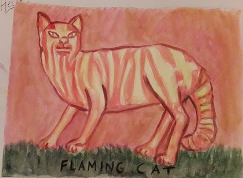 Newtonmore wildcat flaming - wildcat,