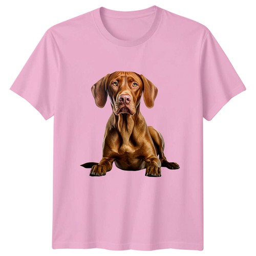 Hungarian vizsla dog - hungarian,
