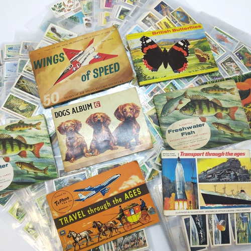 Large collection vintage - large, of