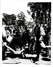 LD366 Original Photo GYPSY