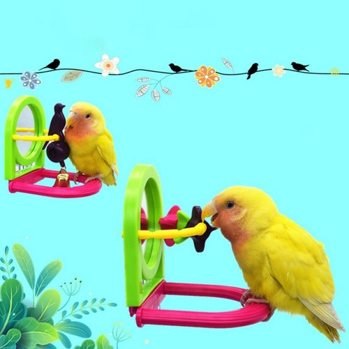 Bird mirror interactive - interactive,