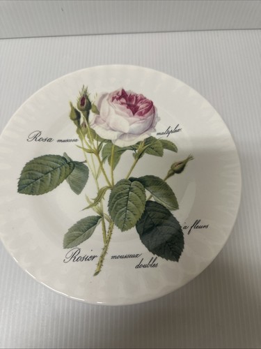 Breakfast cup saucer - breakfast,
