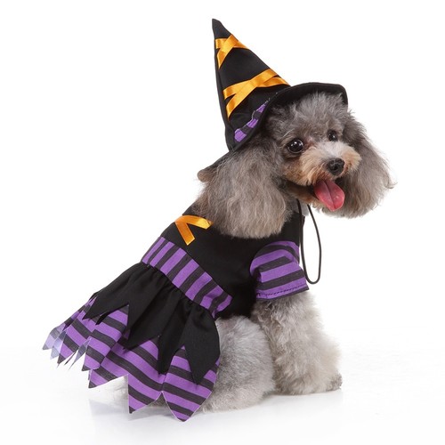 Pet dress halloween - ,
