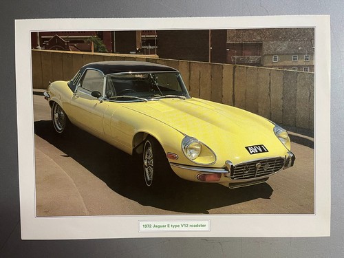 1972 jaguar type 12 - jaguar, e-type