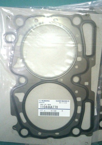 Setx2 genuine head - genuine, gasket