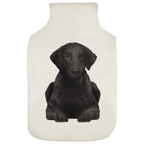 Curly coated retriever hot - 'curly,