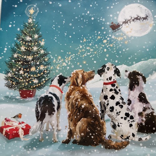 Charity christmas cards pack - christmas,