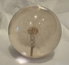 Vintage Dandelion Seed Puff