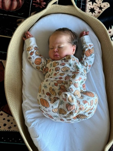 Reborn baby doll pickle - baby,