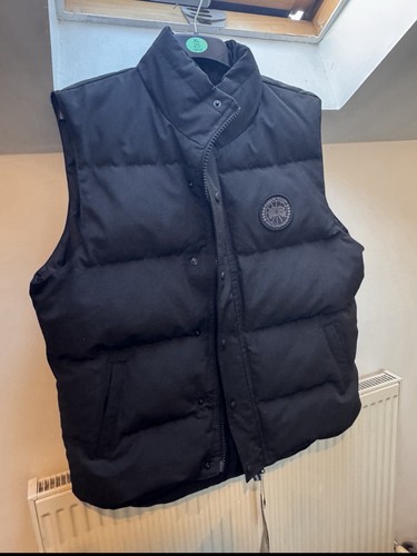 Canada goose black down - goose, puffer