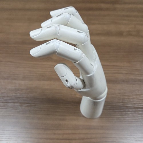 Articulated wooden hand - wooden,