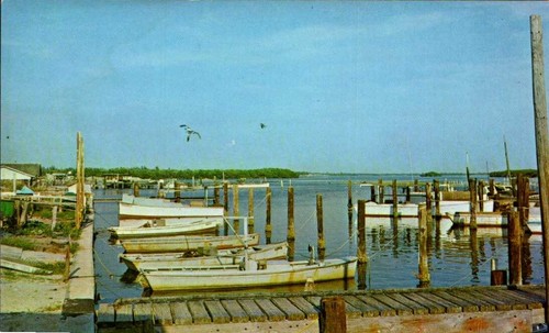 Chrome postcard fishing - chrome, boats