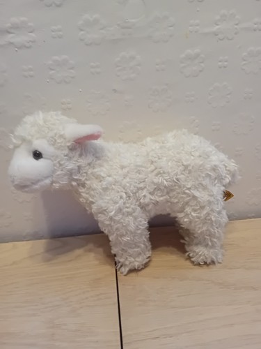 Living nature lamb sheep - nature, plush