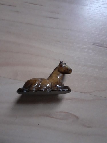 Wade horse foal laying - ,