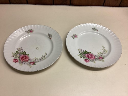 Vintage ridgway regal - vintage, rose