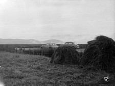 R Wall A Martin Austin Healey