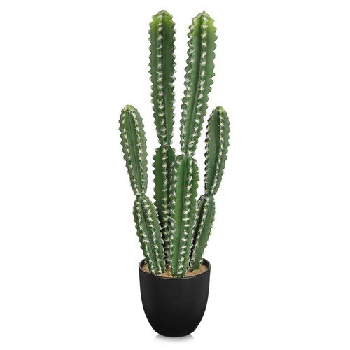 Dilatata tall fake cactus - dilatata,