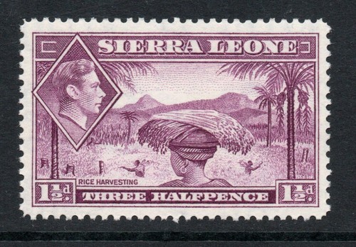 Sierra leone 1938 d - sierra, 1½d