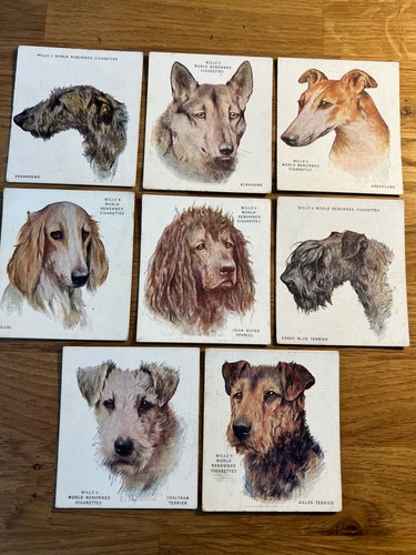 Wills dogs 1928 - wills,