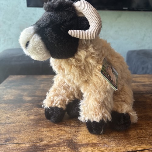 Black faced sheep fine - sheep,