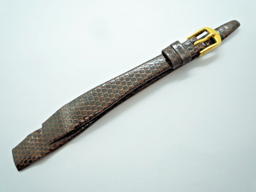Hirsch brown reptile - hirsch,