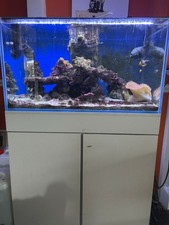 3ft Marine Aquarium 350 Litre Tank Complete Set Up ***No Fish***