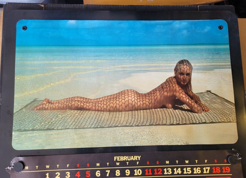Pirelli calendar 1984 with - pirelli,