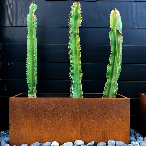 Corten steel rectangle cube - steel,