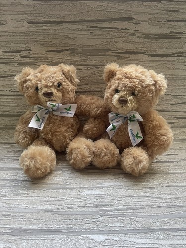 Centre parcs teddy bears - 2,