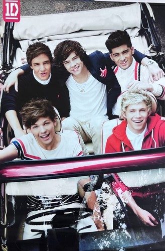 One direction maxi poster - direction,