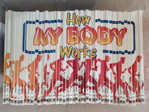 How body works educational - my,