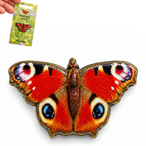 Peacock butterfly pin badge - butterfly,