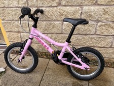 Ridgeback Honey Pink Girls