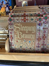 2025 Disney Parks Sleeping