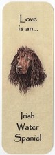 IRISH WATER SPANIEL DOG